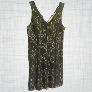 Lace v-neck Anne Taylor dress